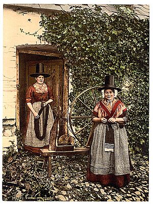 Archivo:Welsh spinners