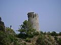 2010 06 055. Torre del Pino
