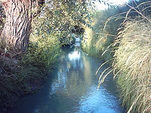 Archivo:Acequia del Nogueral