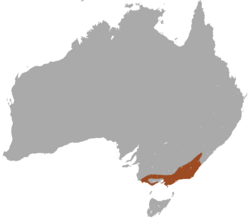 Área de distribución del antequino ágil