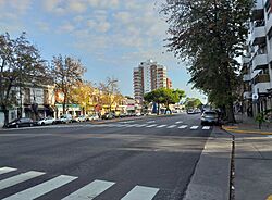 Av santa fe y vieytes martinez.jpg