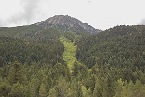 Archivo:Avalanche chute on Pui de Linya