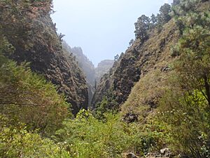 Archivo:Barranco de Añavingo-Arafo