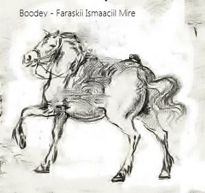 Archivo:Boodey, Ismaaciil Mire horse