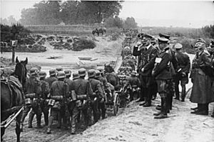 Archivo:Bundesarchiv Bild 183-S55480, Polen, Parade vor Adolf Hitler