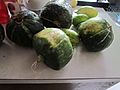Buttercup Squash on Kitchen Counter
