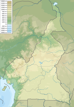 Parque nacional de Campo-Ma’an ubicada en Camerún
