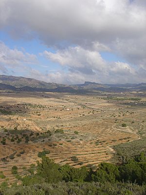 Archivo:Carrascoy - La Murta