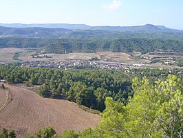 Vista de la localidad