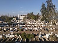 Archivo:Cementerio Católico de Maipú - Junio 2019 - 01