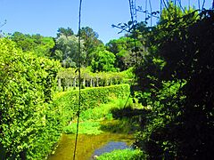 Colares (29115028683).jpg