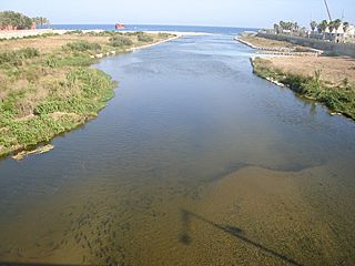 Desembocadura del rio Besòs, ¡se ven peces en su cauce - panoramio.jpg