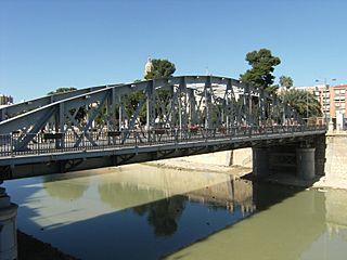 Elpuentenuevodemurcia.JPG