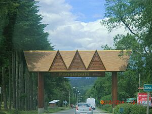 Archivo:Entrada Panguipulli - panoramio