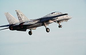 Archivo:F-14 Tomcat with landing gear down