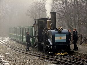 Archivo:FCAF locomotora 2
