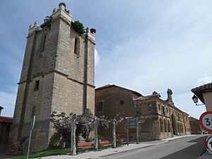 Archivo:FuentesDeNava20100116224216SAM 2441