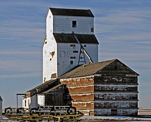 Archivo:Grain elevator in Wrentham Alberta