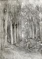 Grove of Trees (study, charcoal) by Félix Resurrección Hidalgo