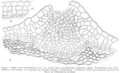 Hegi lenticel