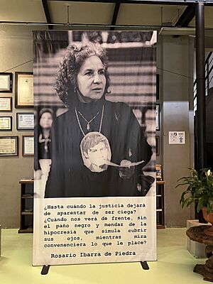 Archivo:Imagen de Rosario Ibarra en el Museo Casa de la Memoria Indómita