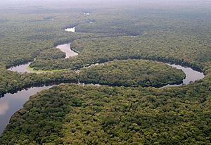 Archivo:La rivière Lulilaka, parc national de Salonga, 2005