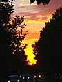 Lagauna Creek Sunset on Laguna Blvd