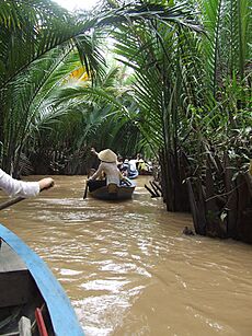 Archivo:Mekong Delta river -a