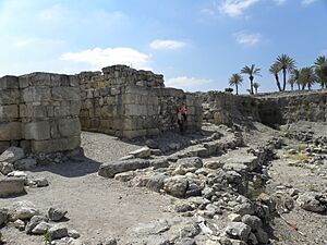 Archivo:Outer opening of the chambered gate at Megiddo (B) (20693218186)
