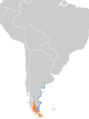 Pluvianellus socialis map