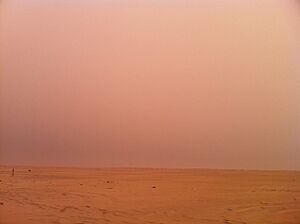 Archivo:Q8desert