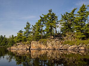 Archivo:Rainy Lake Shoreline