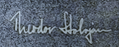 Signature of Theodor Stolojan.png