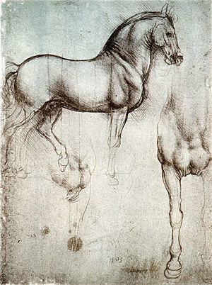 Archivo:Study of horse