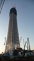 Tokyo Sky Tree under construction 20091222-1
