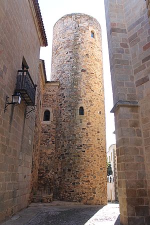 Archivo:Torre del palacio de Carvajal. 