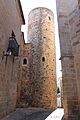 Torre del palacio de Carvajal. 