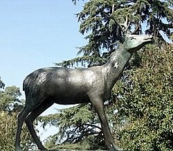 Archivo:Venado 3