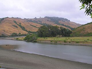 Wfm russian river.jpg