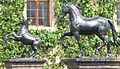 Adrian de Vries horses