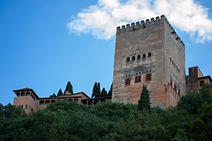 Archivo:Alhambra de Granada 24