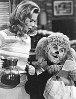 Bewitched episode 1968.JPG