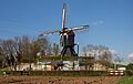 Bij Berg en Dal-Wercheren, de Thornsche Molen IMG 0280 2024-03-25 16.56