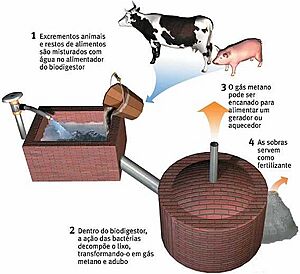Archivo:Biodigestor