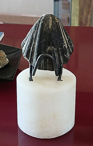 Bivalbo Museo San Juan Raya