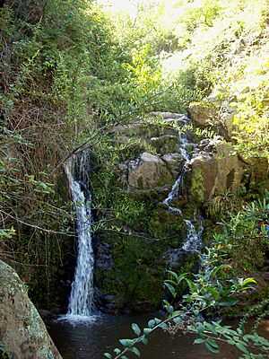 Archivo:Caminata Vaquerías Cascada de los Helechos