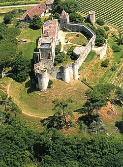 Château de Benauges - vue aerienne.jpg