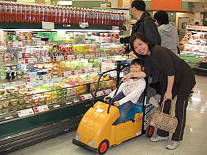 Archivo:Child driveable shopping cart