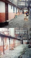 Archivo:Ciudadela de Celestino Solar años 60 y 80