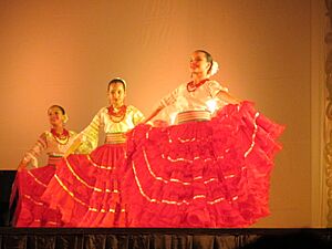 Archivo:Exhibición de danzas paraguayas en la Cooperativa de San Lorenzo (departamento Central)